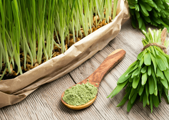 The 10 Best Supplements for Long Distance Hikers 10 greens powder for hikers