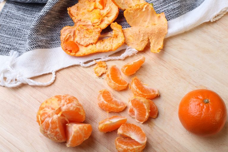 DIY Non-Toxic Citrus Multi-Purpose  Cleaner Recipe