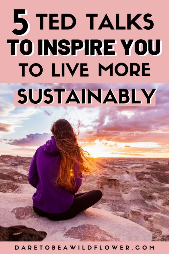 TED Talks To Inspire You to Live More Sustainably 3 sustainability ted talks