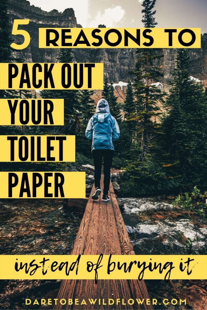 How Long Does It Take For Paper To Decompose: 5 Reasons to Pack It Out 7 5 reasons to pack out your toilet paper instead of burying it