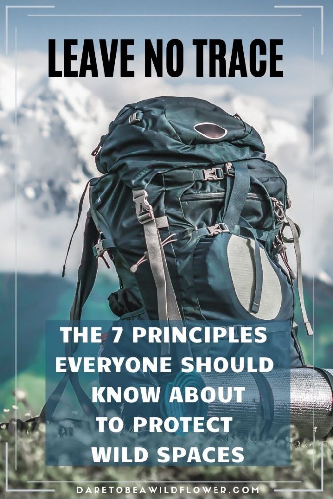 What are the Leave No Trace 7 Principles? 13 leave no trace backpacking