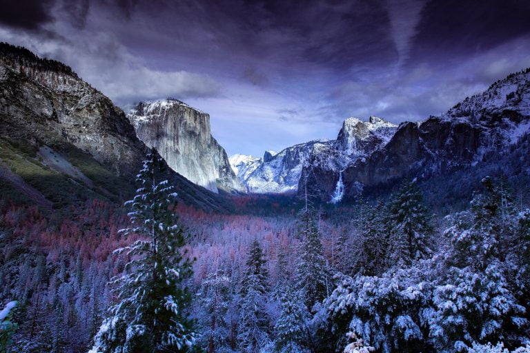 What are the Leave No Trace 7 Principles?