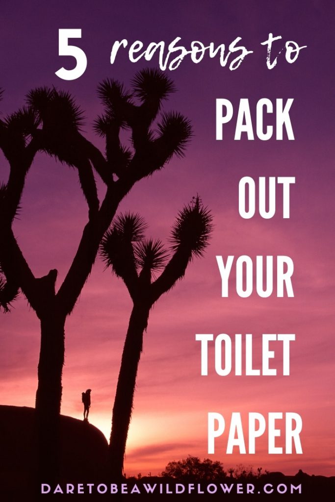 How Long Does It Take For Paper To Decompose: 5 Reasons to Pack It Out 6 pack out your toilet paper in joshua tree
