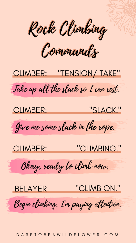 How To Pass A Belay Certification Test Like A Pro 5 rock climbing commands- how to pass a belay certification test
