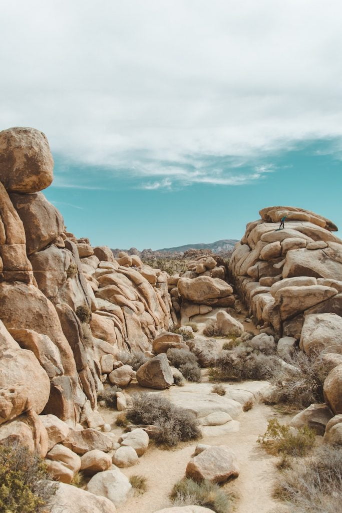visit Joshua Tree national park