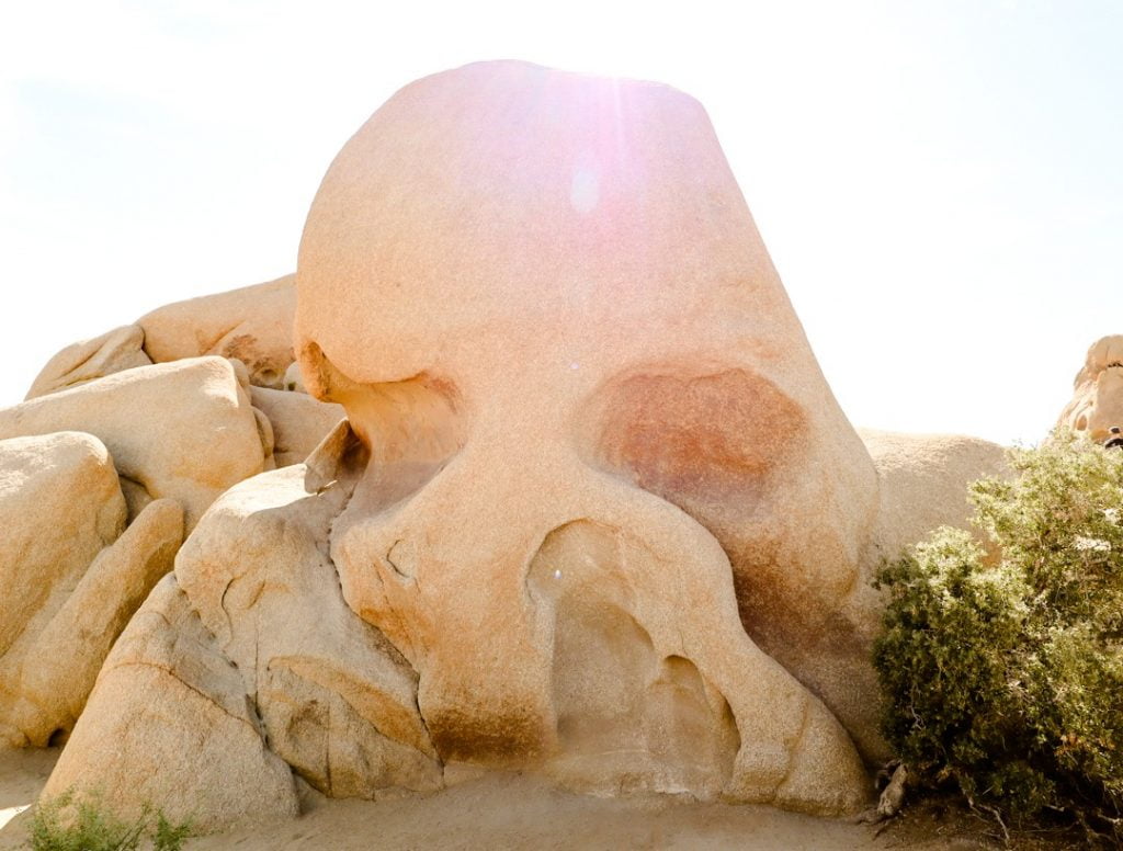 skull rock in Joshua Tree 1