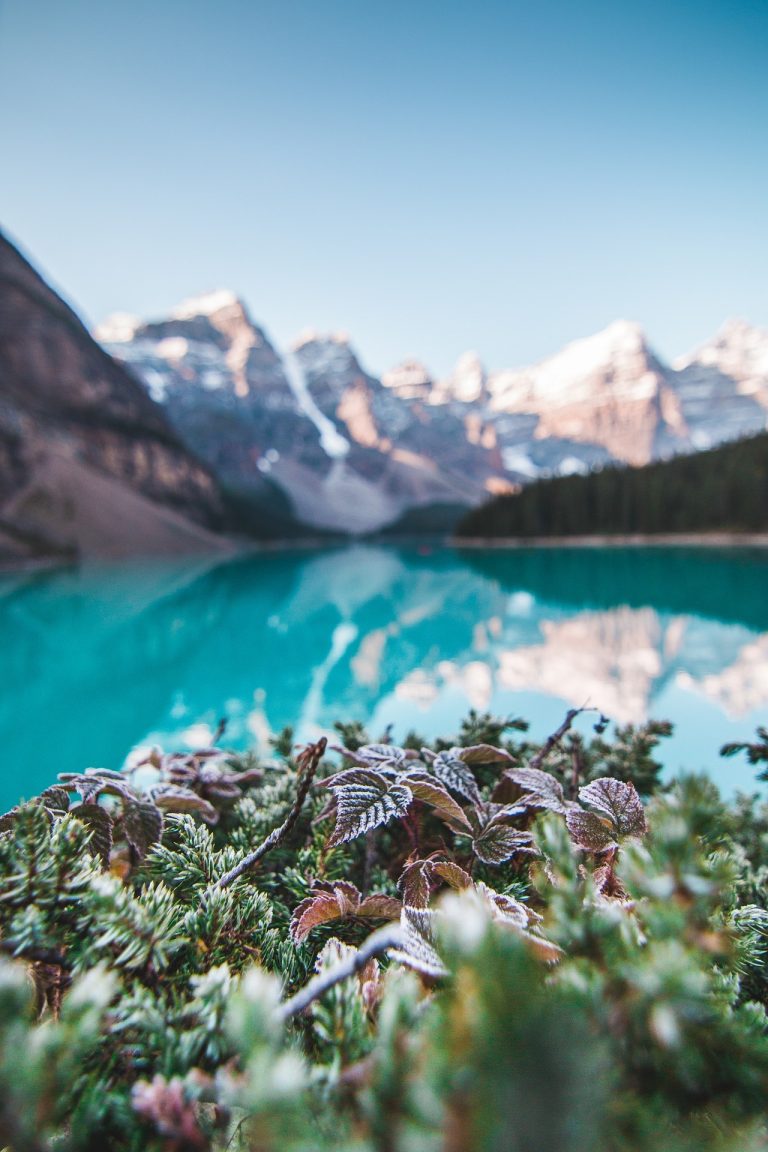 Leave No Trace Friendly Gear: The Ultimate Backpacker’s Gear Guide