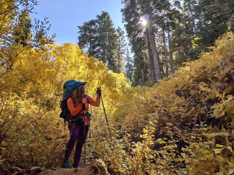 Best Hiking & Backpacking Clothes For Women