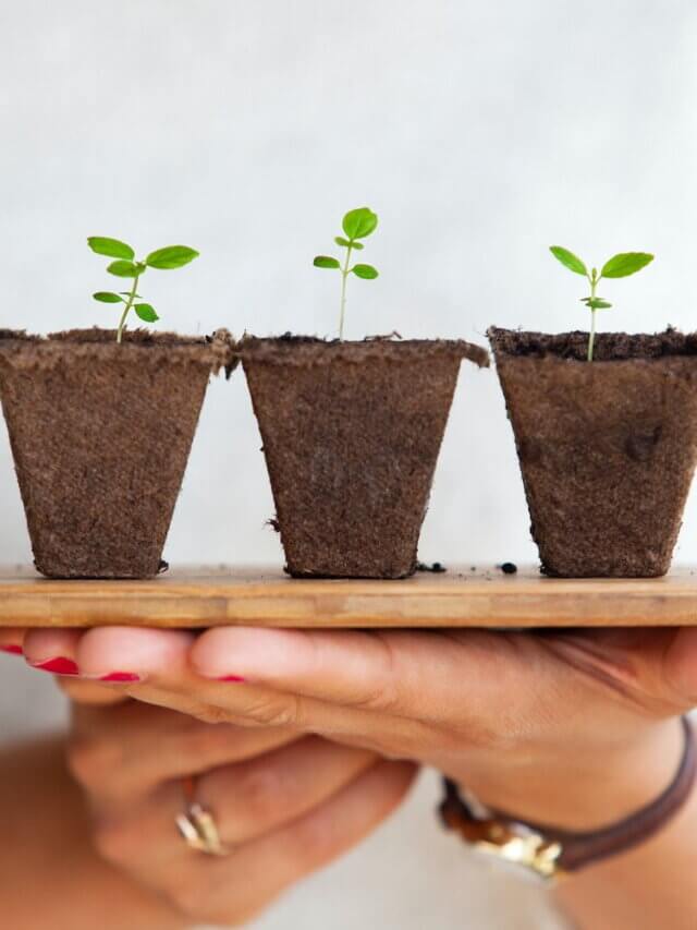 Inspiring Quotes About Sustainability