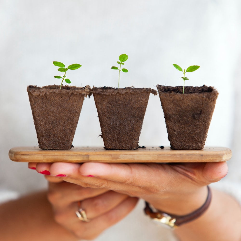 42 Powerful Sustainability Quotes To Inspire Eco Friendly Living 4 sustainability quotes for Earth day plant a tree