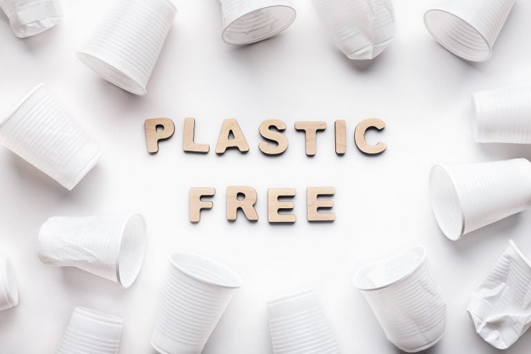 42 Powerful Sustainability Quotes To Inspire Eco Friendly Living