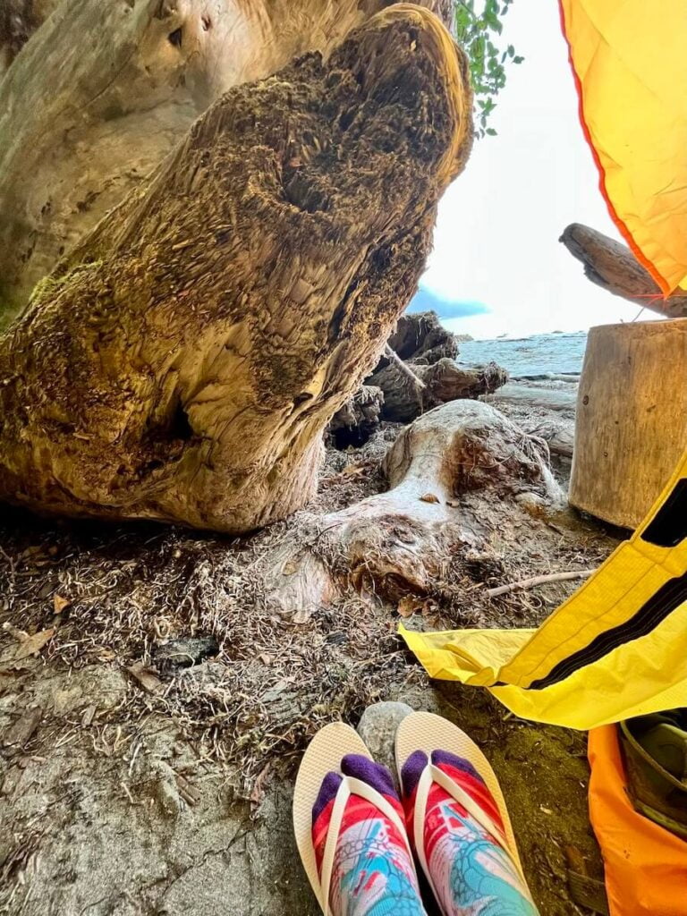 How to Keep Your Tent Dry in Rain: 10 Proven Ways + Images! 4 IMG 4893