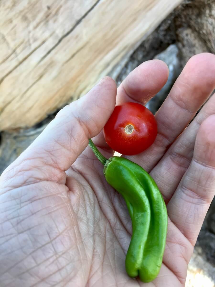 How to Be Sustainable While Camping 2 natural snack
