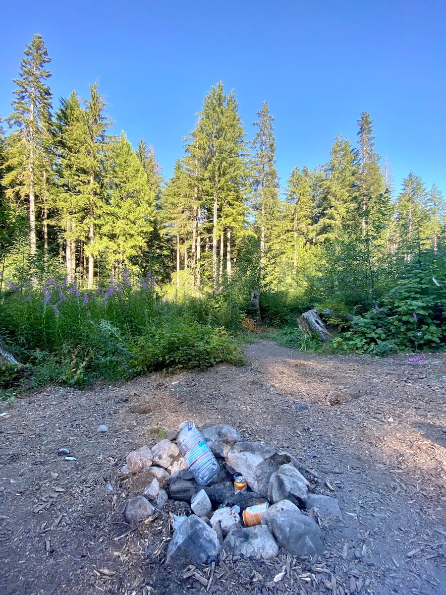Is Vanlife Sustainable? 5 Trash In a Firepit in WA