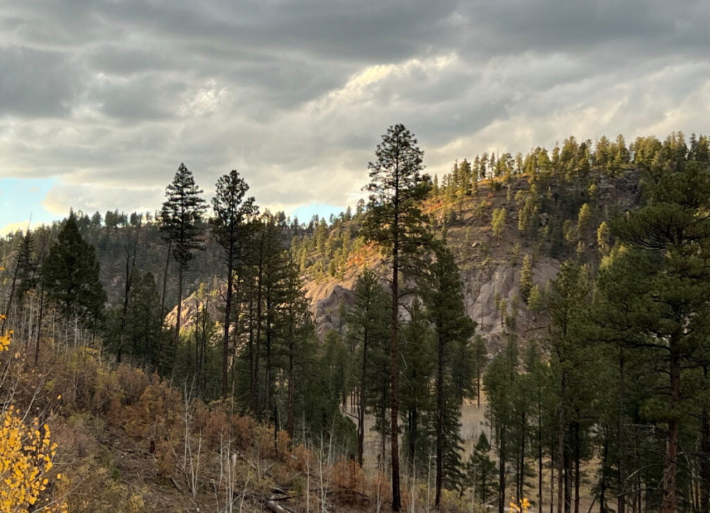 Most forgotten camping items that should definitely be on your checklist! 1 A mountainside with trees and a cloudy sky.