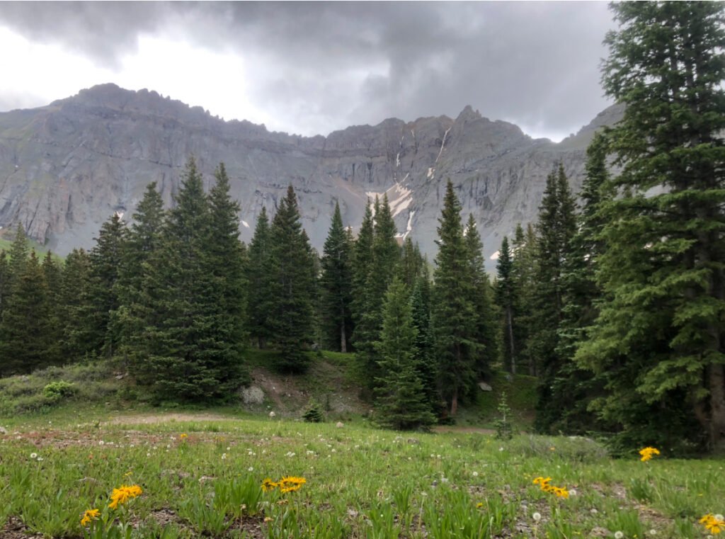 Camping In the Rain: A Definitive Guide (Based on my experience!) 1 A meadow with trees and flowers under a cloudy sky.