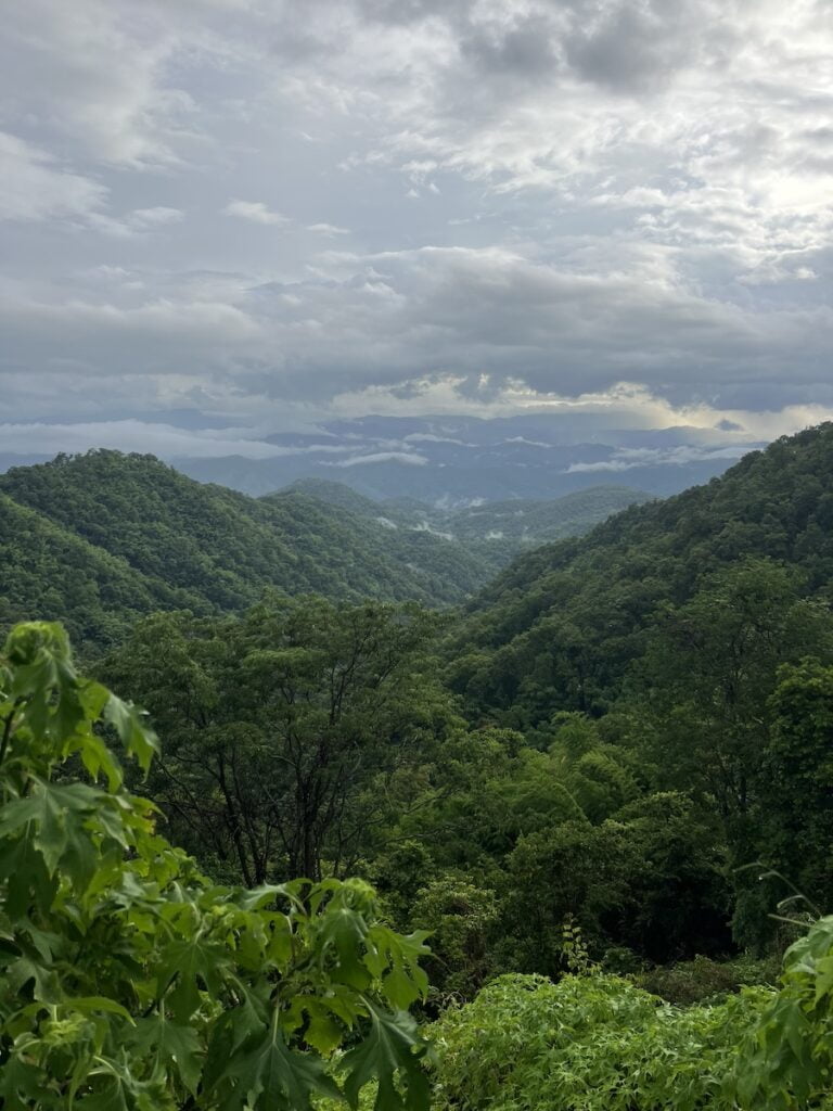 A view of a green valley with trees and a cloudy sky in Thailand.