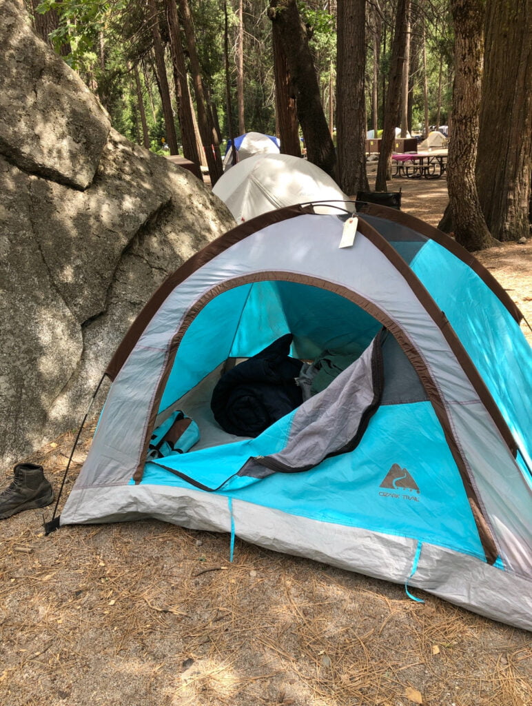 A tent is set up in a wooded area.